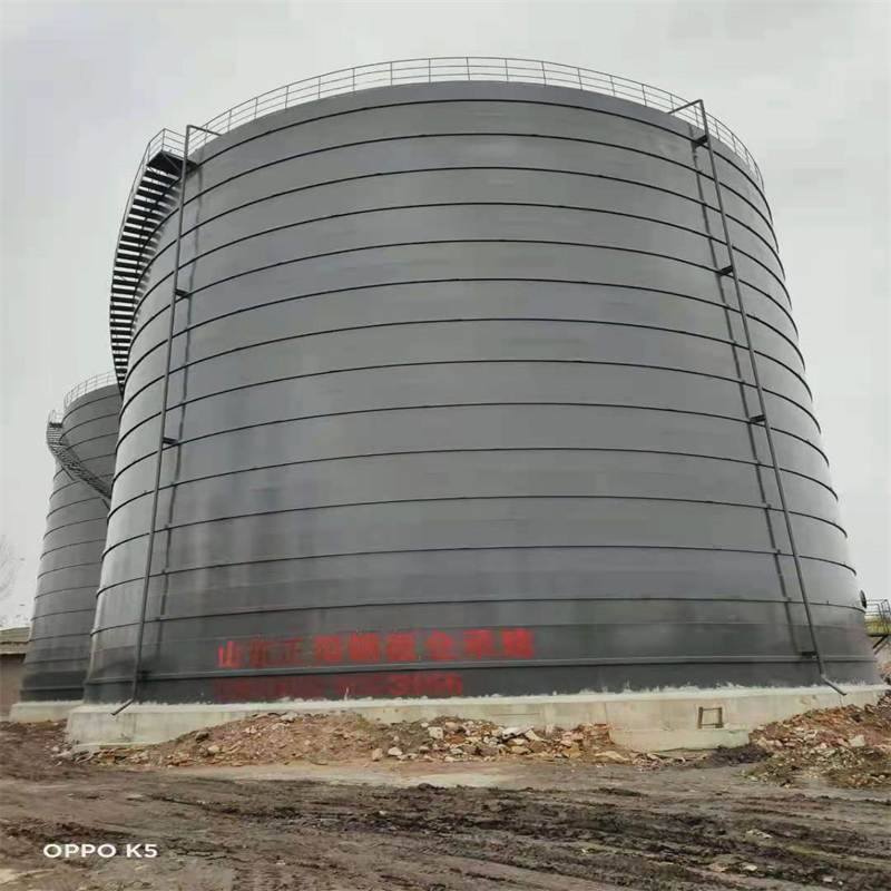 博白3万吨大型钢板库