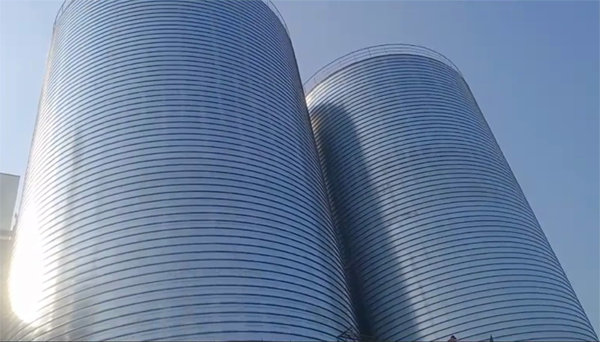 博白2座混凝土高架卷板仓